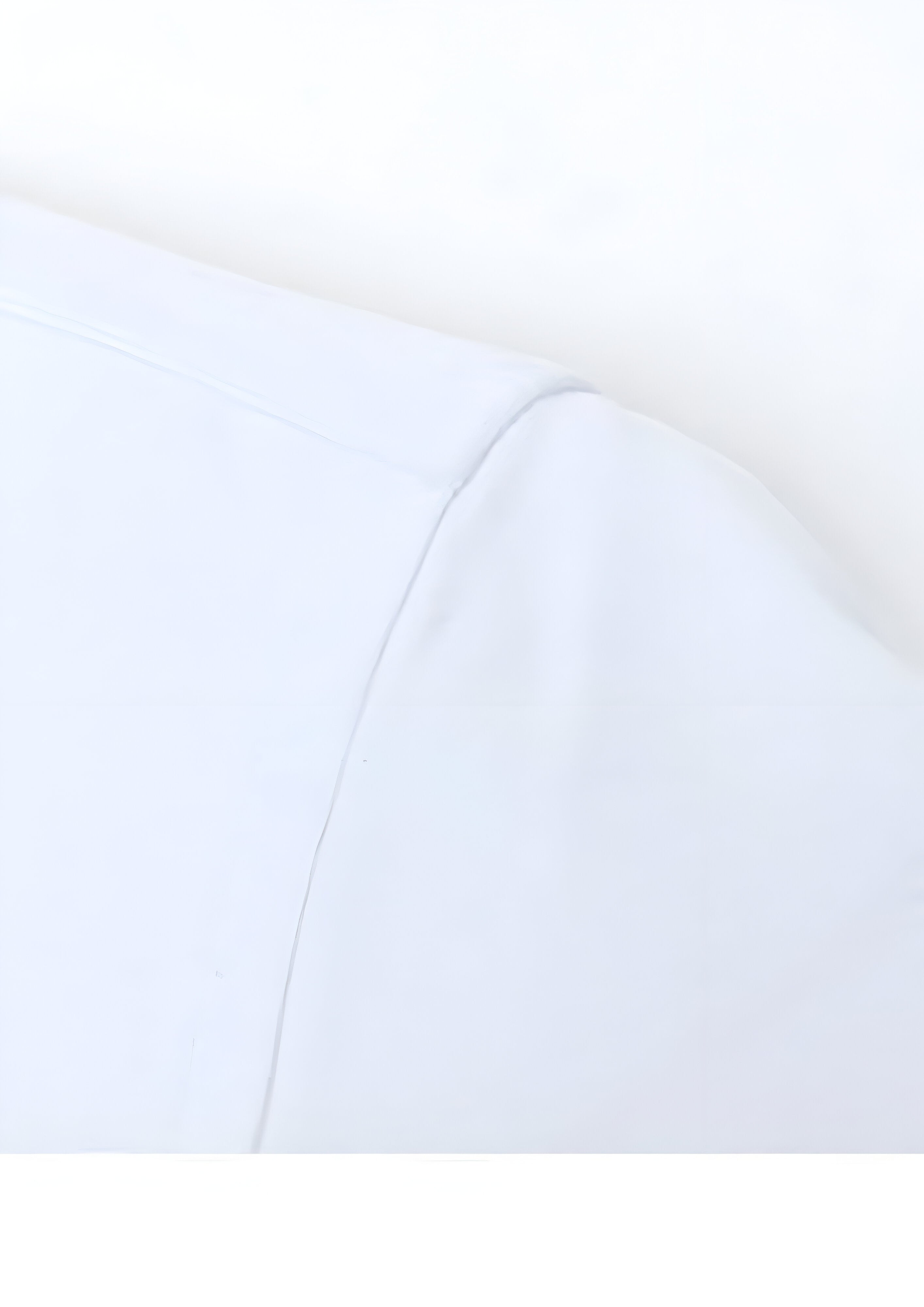 Men's Button Down Collar Shirt | Long Sleeves