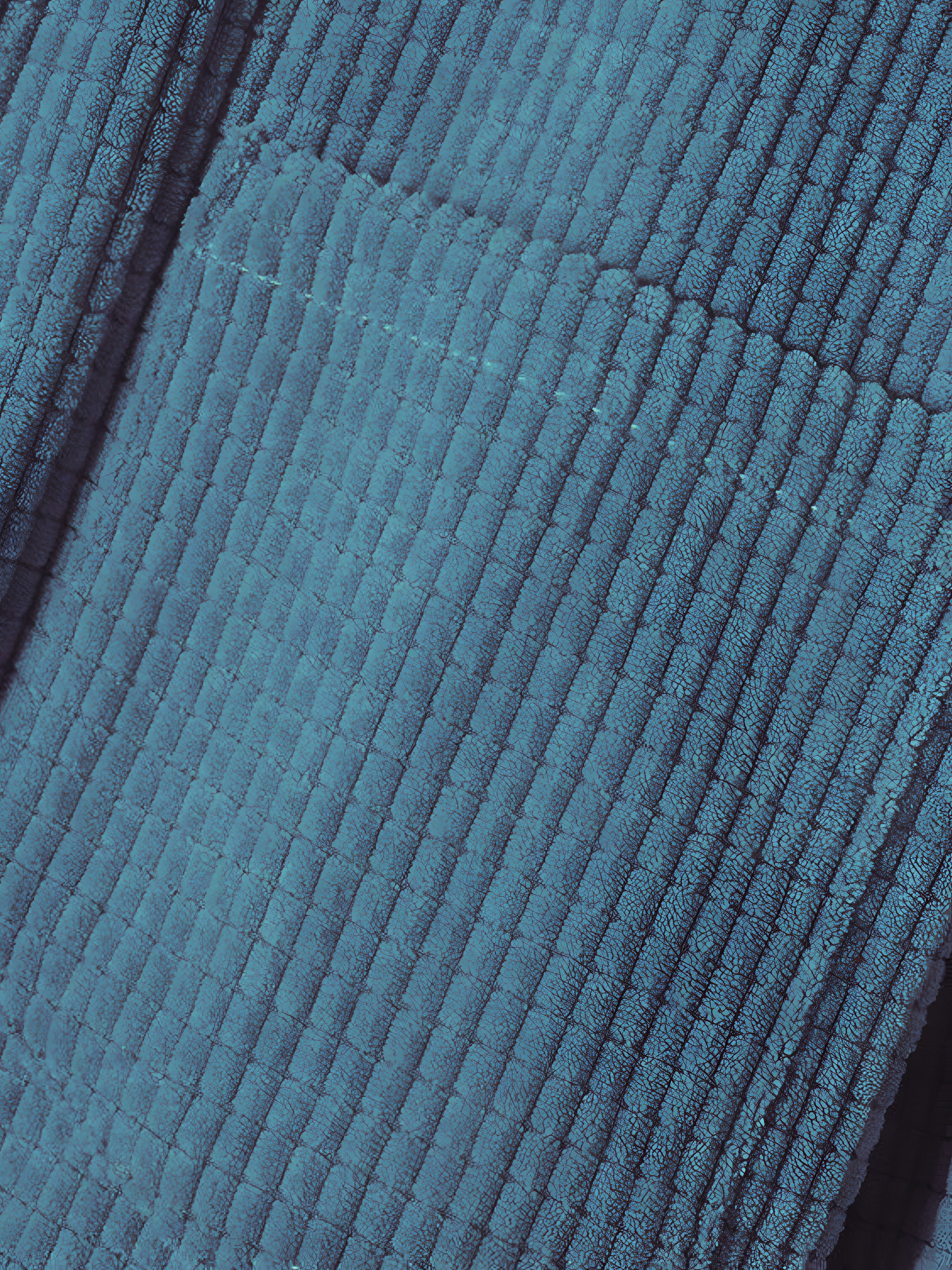 Corduroy Hoodie | Men's Winter Relaxed