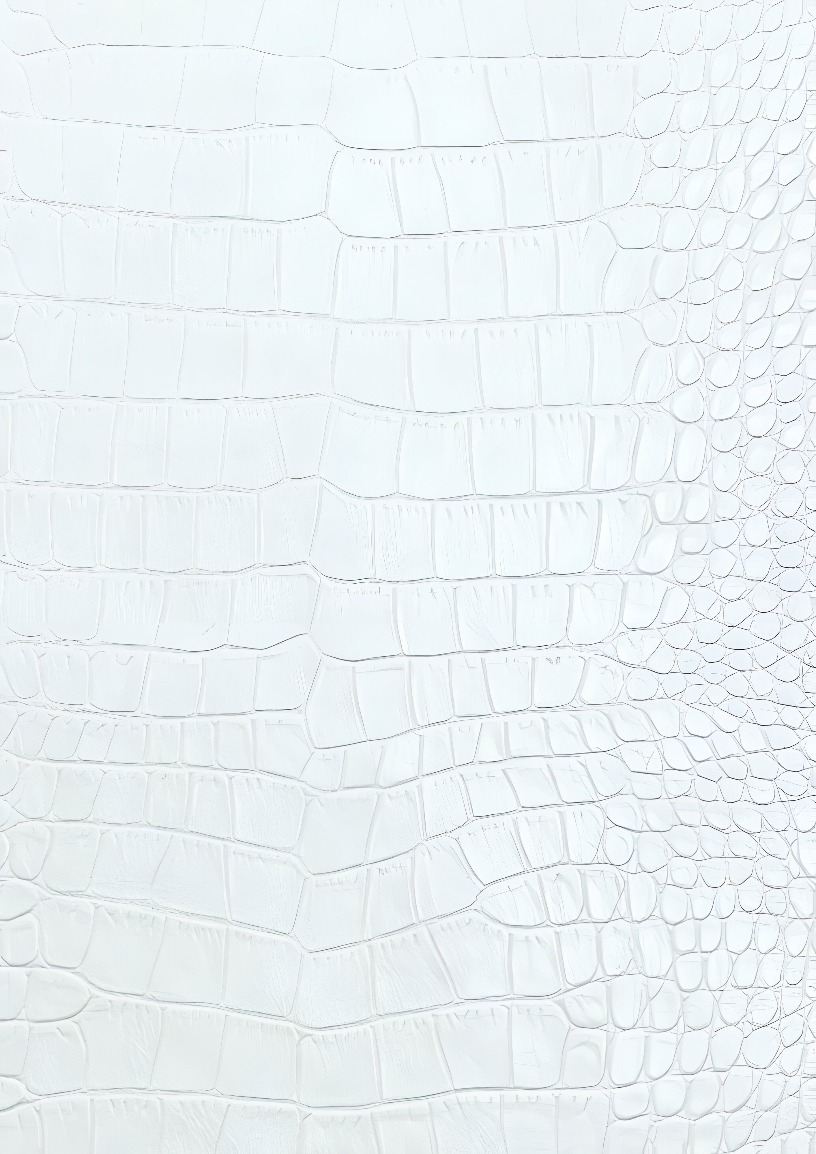 Embossed Moto Jacket | Men's Slim Fit