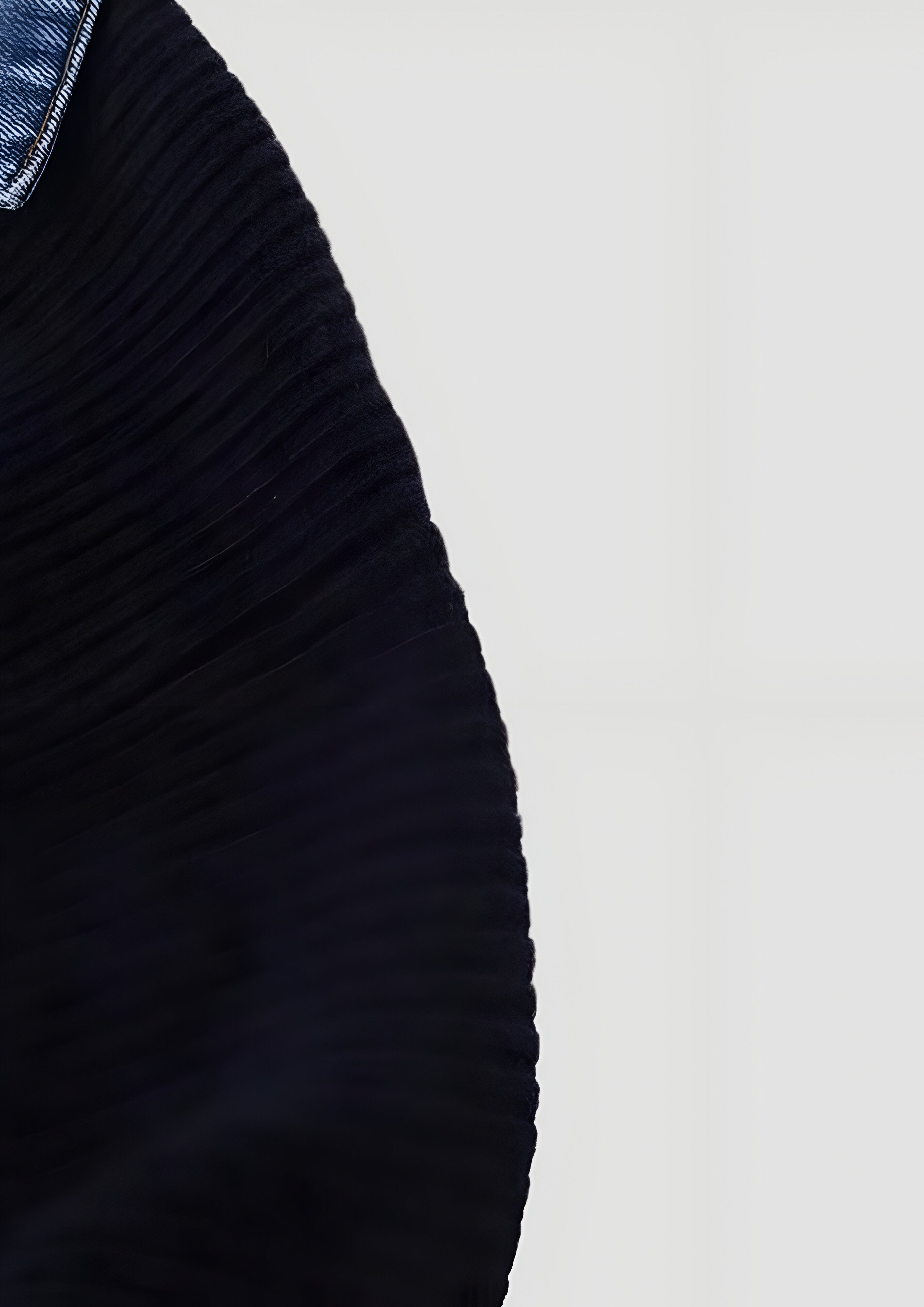 Navy Collared Cardigan | Women’s Denim Trim