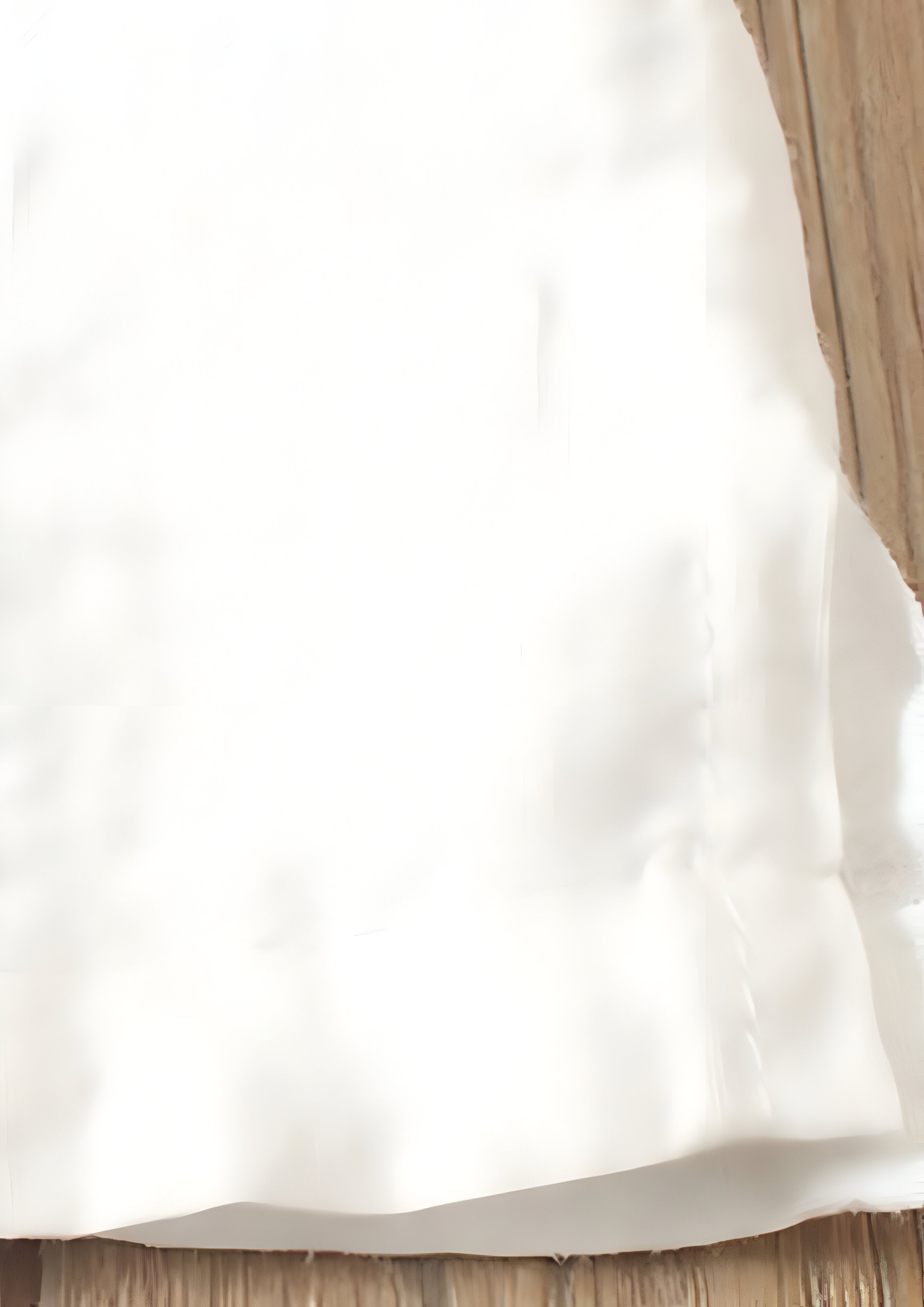 Short Sleeve Blouse | Women's Summer Top